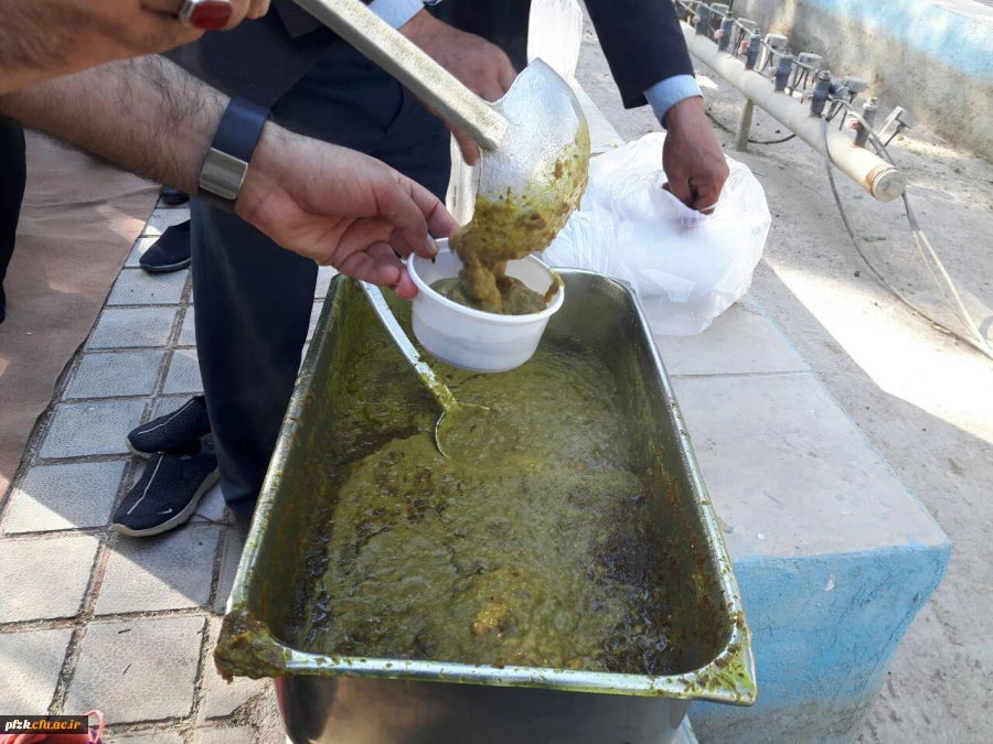 اردوی صمیمی - تفریحی درون شهری پردیس حضرت فاطمه الزهرا (س)