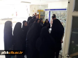 توزیع  سیم کارت 4G رایگان