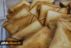 برگزاری جشنواره غذای دانشجویی