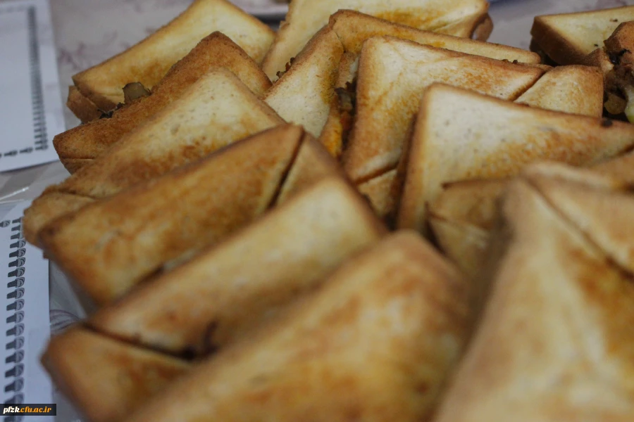 برگزاری جشنواره غذای دانشجویی