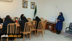 برگزاری کارگاه آموزشی مداخله در بحران ویژه اساتید و پرسنل پردیس