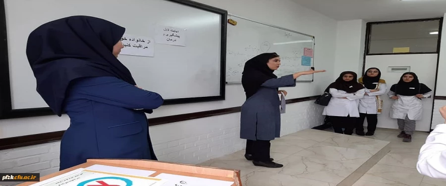 کارگاه پیشگیری و درمان دیابت به مناسبت روز جهانی 2