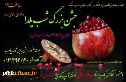 برنامه استنداپ کمدین به مناسبت شب یلدا