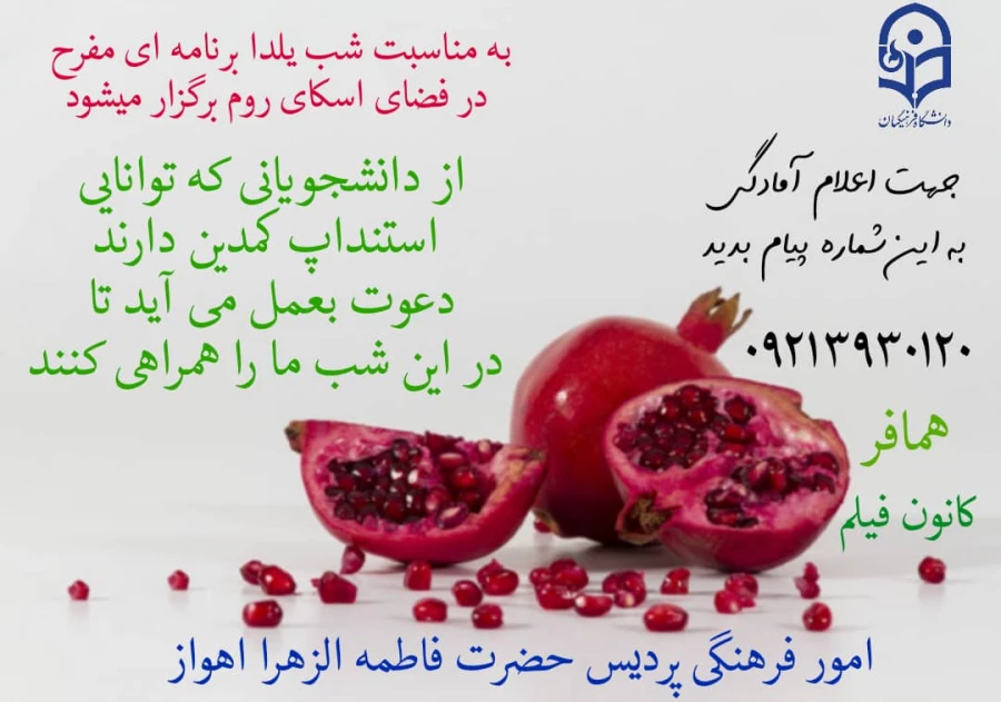 استنداپ کمدین