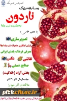 مسابقه بزرگ ناردون به مناسبت شب یلدا