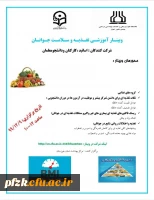 وبینار اموزشی تغذیه و سلامت جوانان ویژه اساتید، کارکنان و دانشجو معلمان
