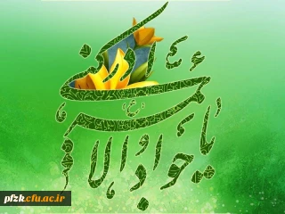 ولادت با سعادت امام محمد تقی(ع) تبریک و تهنیت باد