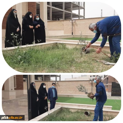 کاشت نهال در محوطه مجتمع رفاهی سرای دانشجویی پردیس حضرت فاطمه الزهرا(س) اهواز