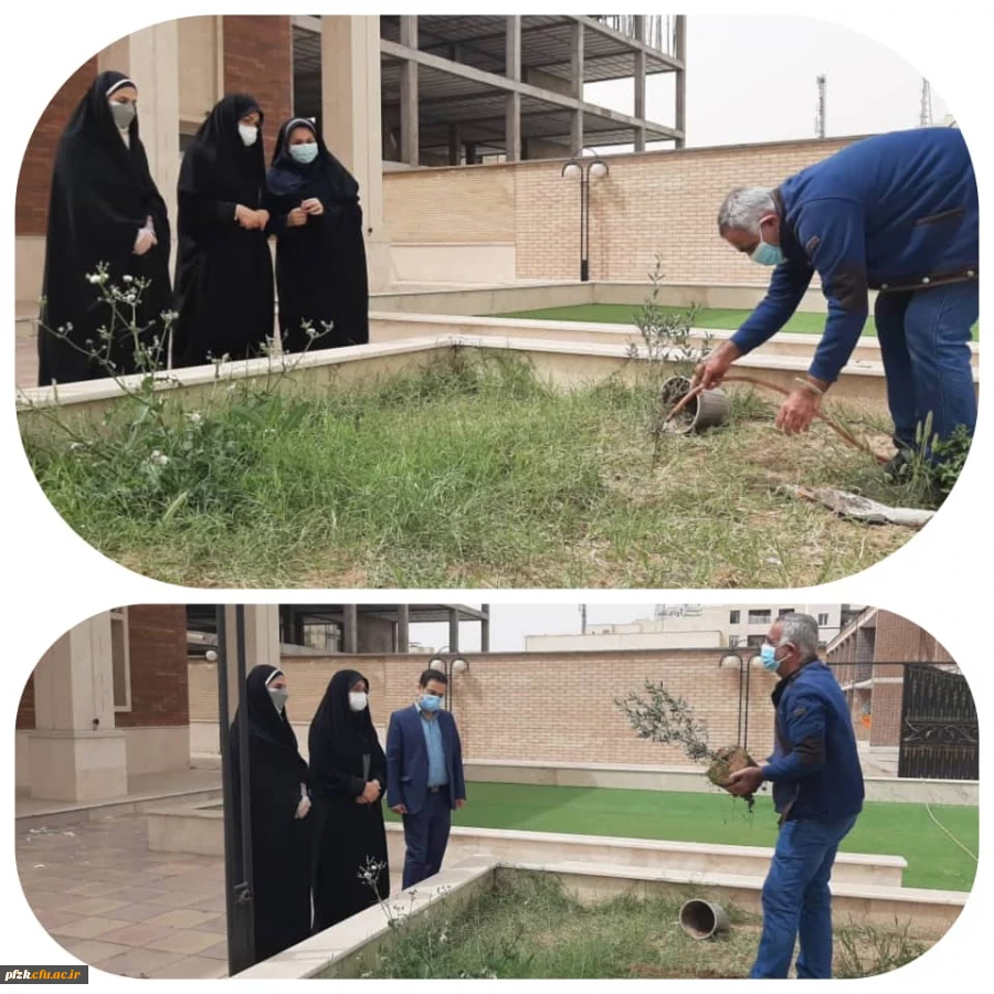 کاشت نهال در محوطه مجتمع رفاهی سرای دانشجویی پردیس حضرت فاطمه الزهرا(س) اهواز