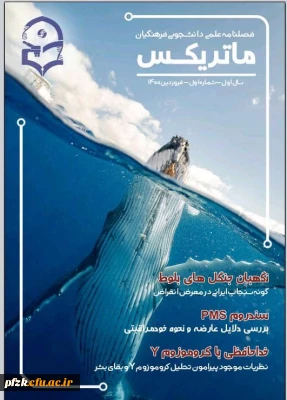 شماره اول فصلنامه ماتریکس