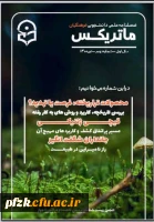 شماره دوم فصلنامه ماتریکس