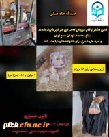 خرید مرغ برای خانواده های نیازمند به همت کانون همیاری پردیس حضرت فاطمه الزهرا(س) اهواز خیریه شهید علی حساموند