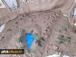 گزارش تصویری از برپایی نمایشگاه هفته دفاع مقدس در پردیس حضرت فاطمه الزهرا(س) اهواز