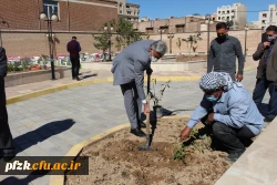 مراسم کاشت نهال با نام «روز سبز» در پردیس حضرت فاطمه الزهرا(س) اهواز
