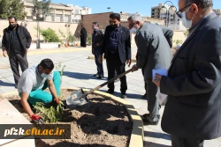 مراسم کاشت نهال با نام «روز سبز» در پردیس حضرت فاطمه الزهرا(س) اهواز