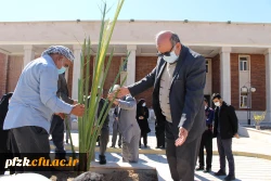 مراسم کاشت نهال با نام «روز سبز» در پردیس حضرت فاطمه الزهرا(س) اهواز