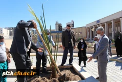 مراسم کاشت نهال با نام «روز سبز» در پردیس حضرت فاطمه الزهرا(س) اهواز
