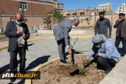 مراسم کاشت نهال با نام «روز سبز» در پردیس حضرت فاطمه الزهرا(س) اهواز