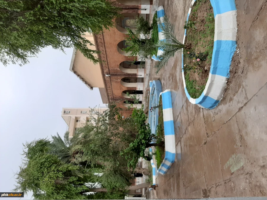 دانشگاه از نگاه دوربین 2