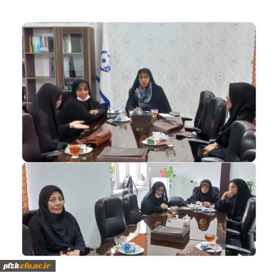 تشکیل جلسه بررسی موارد، مشکلات و پیشنهادات برای گردهمایی دیدار ریاست جمهوری