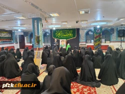 گزارش تصویری دیدار با خانواده ی شهید محمدرضا آل مبارک به مناسبت هفته ی بسیج و ایام مبارک فاطمیه