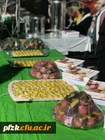 مراسم فاطمیه به میزبانی خادمان حرم امام رضا(ع) و چایخانه رضوی