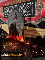 مراسم فاطمیه به میزبانی خادمان حرم امام رضا(ع) و چایخانه رضوی