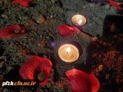 مراسم فاطمیه به میزبانی خادمان حرم امام رضا(ع) و چایخانه رضوی