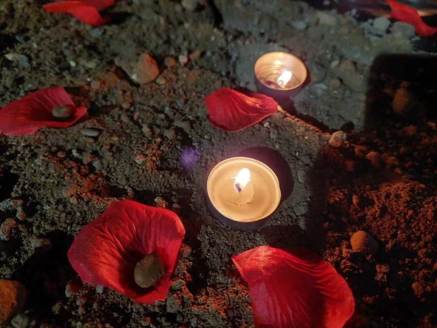 مراسم فاطمیه به میزبانی خادمان حرم امام رضا(ع) و چایخانه رضوی