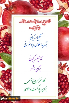 نتایج فراخوان صد دانه یاقوت