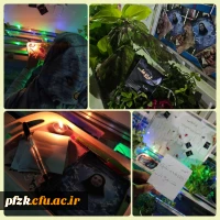 برگزاری مراسم لیله الرغائب در خوابگاه حجاب پردیس فاطمه الزهرا(س) اهواز