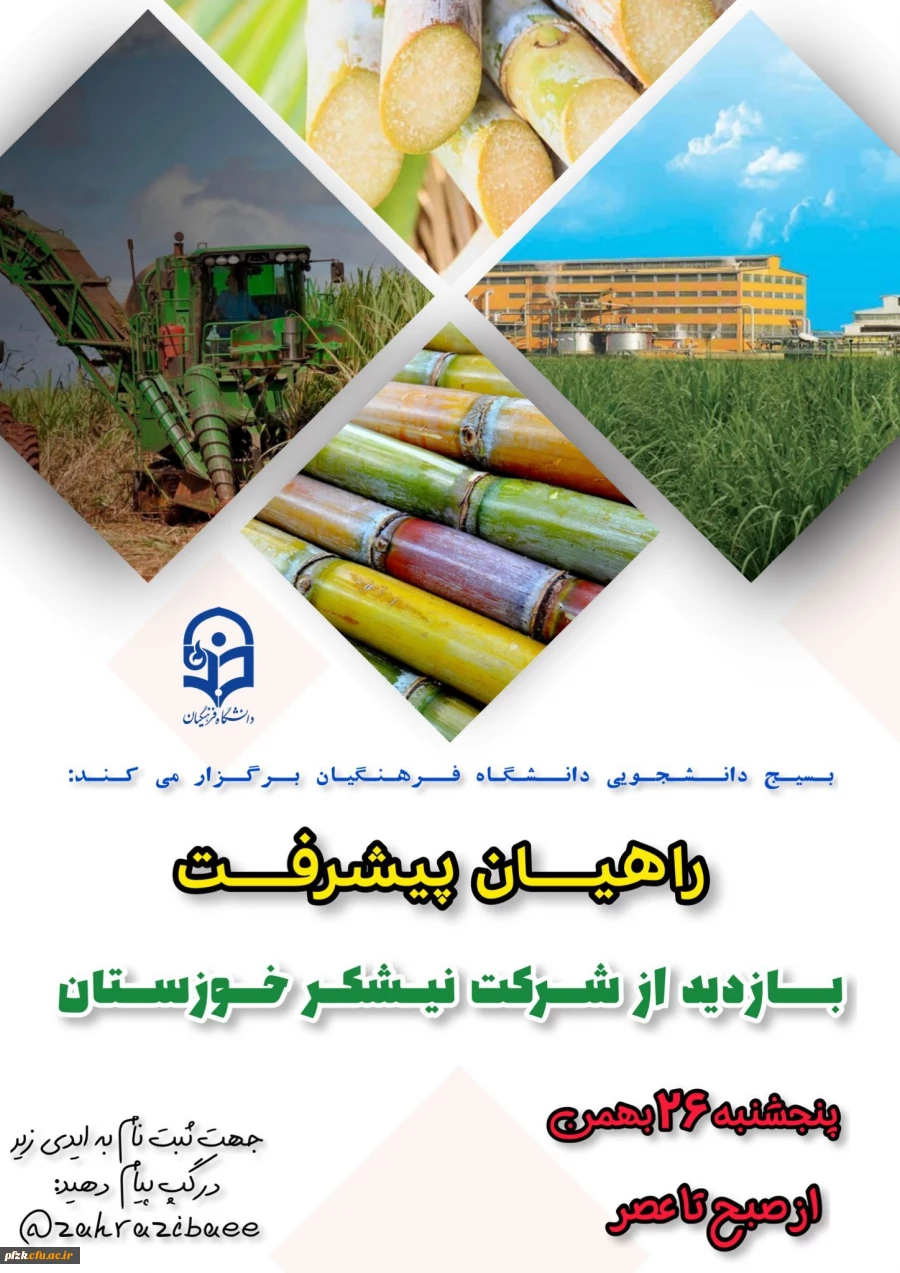 بازدید از شرکت نیشکر خوزستان