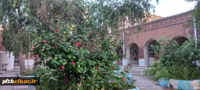 دانشگاه از نگاه دوربین