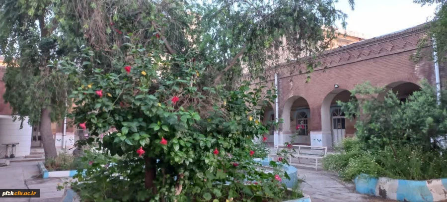 دانشگاه از نگاه دوربین