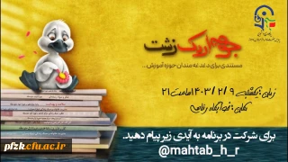  اکران مستند " جوجه اردک زشت"