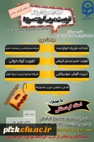 تربیت مربی گروه سرود با حضور استاد کردستانی