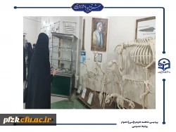 بازدید از موزه علم و طبیعت دانشگاه شهید چمران اهواز در هفته پژوهش 