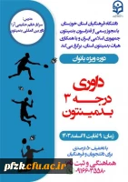 داوری درجه ۳ بدمینتون