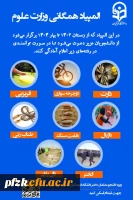 فراخوان ثبت نام شرکت کنندگان مسابقات انتخابی المپیاد همگانی وزارت علوم، ویژه دانشجو معلمان دختر استان خوزستان