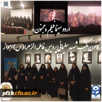 بازدید و تماشای فیلم سینمایی «مجنون» در سینما 