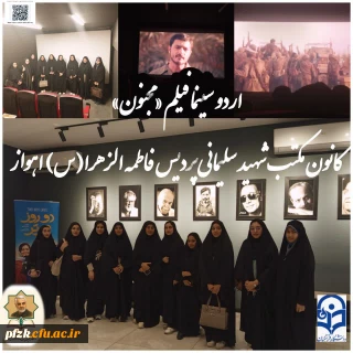 بازدید و تماشای فیلم سینمایی «مجنون» در سینما 