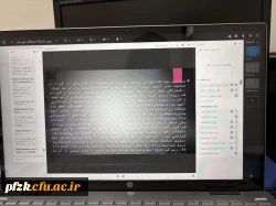 کارگاه مشاوره آنلاین  «پناهگاه روانی» به صورت مجازی برگزار شد.